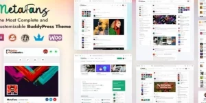 Metafans Wordpress theme core functionality