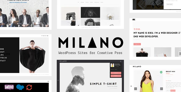 Milano is a creative masonry portfolio showcase WordPress theme for agencies