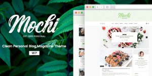 Discover Mochi: A sleek