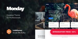 Discover Monday Creative  Multipurpose WordPress Theme – perfect for portfolios