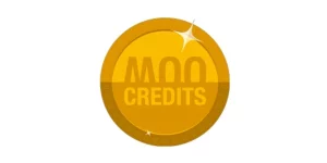 A powerful plugin for Woo Commerce users that lets you create credit packages