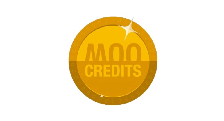 A powerful plugin for Woo Commerce users that lets you create credit packages