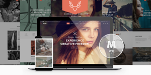 Discover Moose – the versatile WordPress theme for bloggers