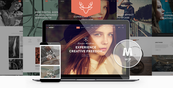 Discover Moose – the versatile WordPress theme for bloggers