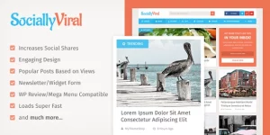 SociallyViral is a beautifully designed WordPress theme that is built to be engaging