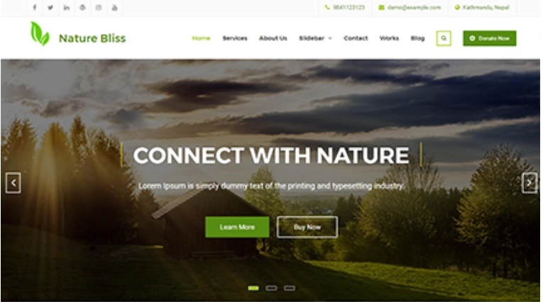 Nature Bliss Pro is created with environmental green businesses and non-profit organizations in mind