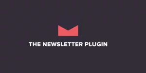 This free add-on for the Newsletter plugin links the standard user registration flow to the subscription process.