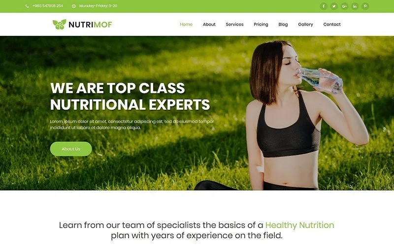 Nutrimof is a strongResponsive WordPress Theme/strong nutrition and health coaches