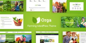 Discover Orga