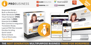 Pro Business - Responsive Multipurpose Theme Hey there