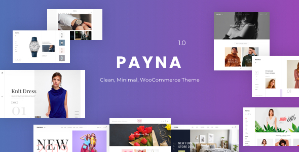 Transform your online store with Payna – a sleek