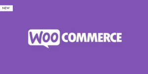 Unlock premium content with Paywall for WooCommerce! This powerful plugin allows you to monetize your digital products effortlessly. Key features include flexible subscription options