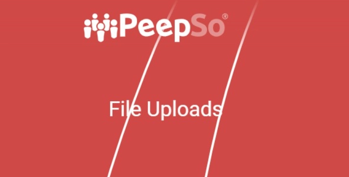 File Uploads plugin allows your users to upload any type of files that you as admin allow