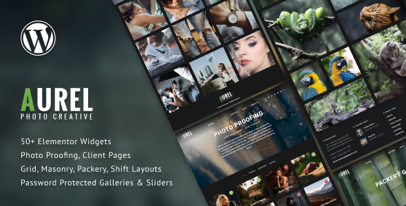 Discover Aurel Photography WordPress Theme