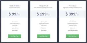 Brooklyn’s pricing tables are providing a bunch of options and some nifty and useful features. Have a look at the following sections and see the benefits of these tables.