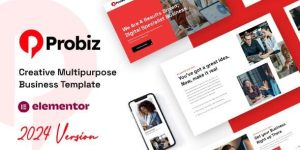 Discover the Probiz WordPress Theme for a customizable