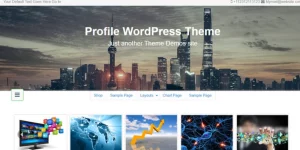 Profile is best theme for individual or company profile or portfolio blog it support all awesome WordPress features like eCommerce