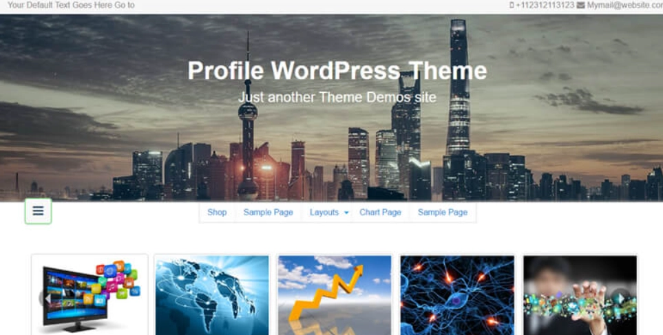 Profile is best theme for individual or company profile or portfolio blog it support all awesome WordPress features like eCommerce