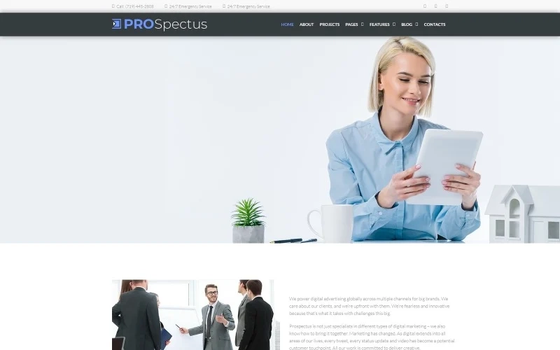 A simple but powerful WordPress theme for advertising agencies. In this theme