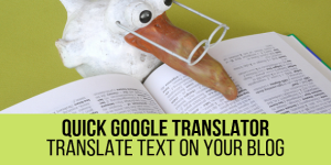 Quick Google Translator Plugin for WordPress - A Must-Have Tool for Your Site If you are looking to break language barriers and make your website accessible to a global audience