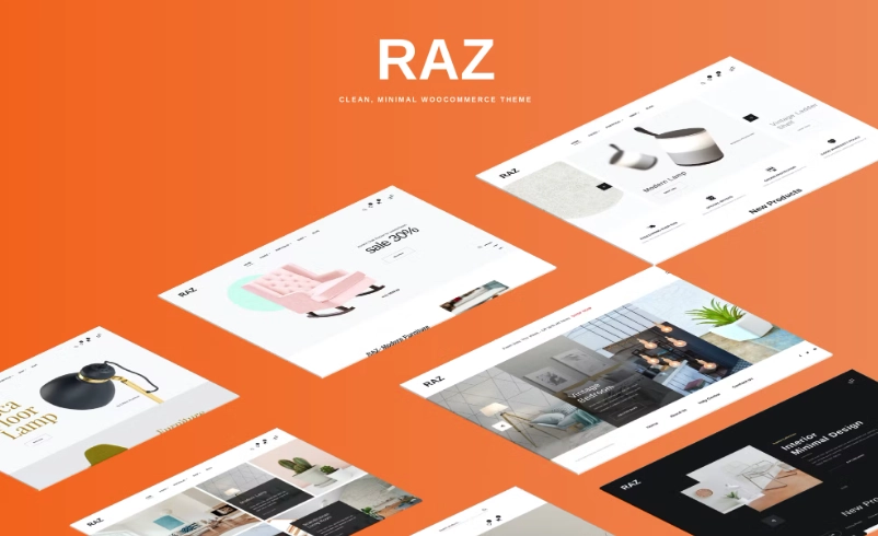 RAZ is a creative drag  drop theme created and designed with love for passionate web lovers. The key features of Toro are the front-end builders