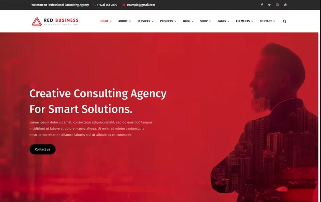 RedBiz is designed for companies who offer business consulting