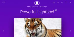 Discover the Revolution Lightbox WordPress Plugin on Bevaultx. Create stunning