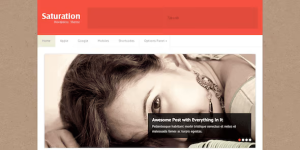 Discover the SATURATION BLOG STYLE WORDPRESS THEME