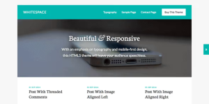 Discover the STUDIOPRESS WHITESPACE PRO WordPress Theme