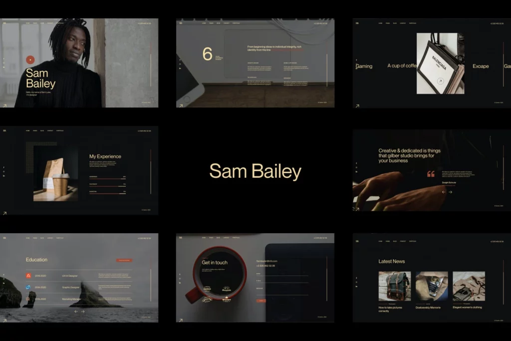 Sam Bailey CV/Resume WordPress Theme - 100% responsive