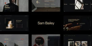 Sam Bailey CV/Resume WordPress Theme - 100% responsive