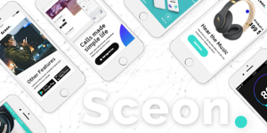 Sceon is what any startup