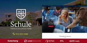 Build captivating educational websites with the Schule theme. Features LMS integration