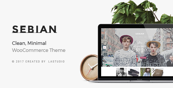 Elevate your e-commerce game with Sebian - a customizable WordPress WooCommerce theme. Fast