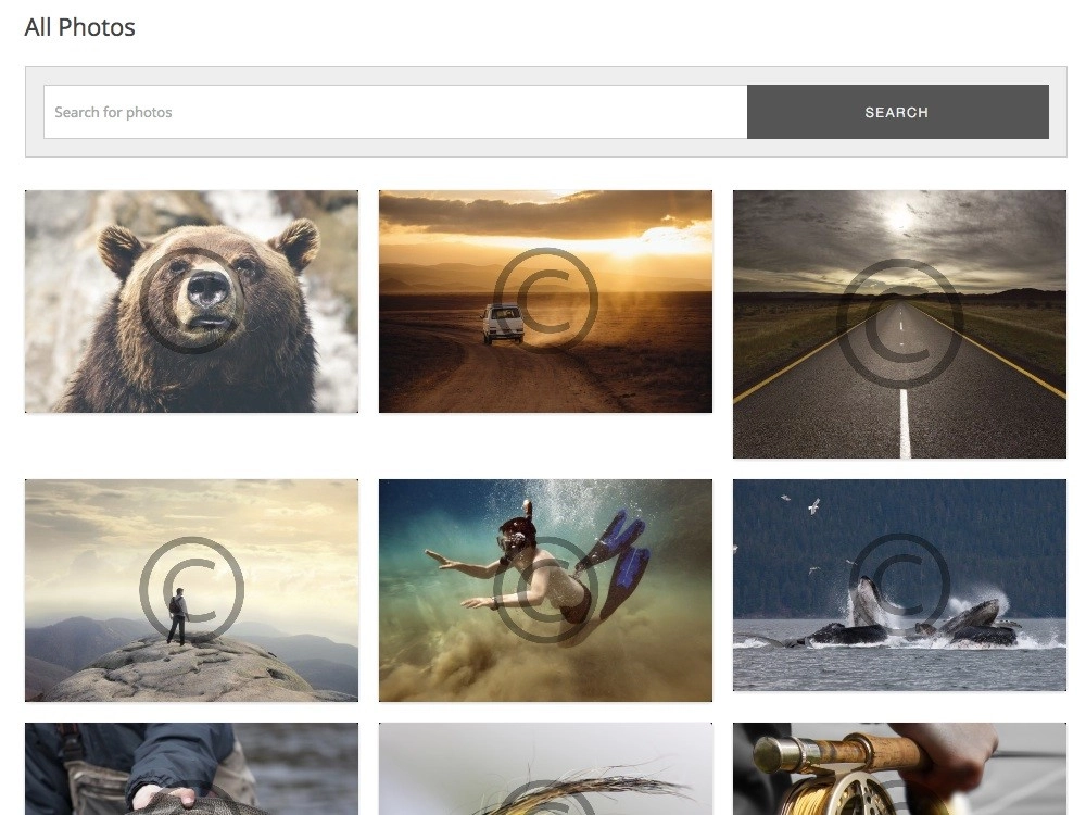 Protect your large images in one click using a watermark image of your choice.