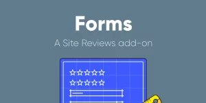 Create unique review forms with over 20 field types and custom review templates. This add-on allows you to create custom review forms. For example