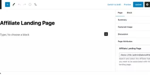 Create dedicated landing pages for your affiliates