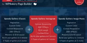 Welcome to Speedy Gallery Addons for WPBakery Page Builder. With this awesome plugin you can build your gallery in 1 minute using WPBakery. In this plugin are included 3 addons. Speedy gallery classic