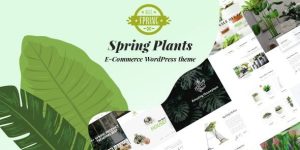 Transform your love for plants into a stunning website with the Spring Plants - Gardening  Houseplants WordPress Theme. Available on ThemeForest and Bevaultx.