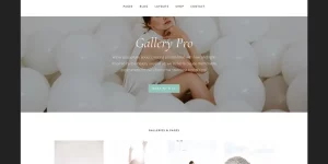 Gallery Pro is a posh yet minimalist theme. It offers a warm welcome that is streamlined and full of light. With a winning combination of full-stretch and gallery images as well as beautiful typography