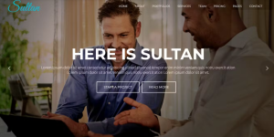 Discover Sultan – One Page Business WordPress Theme