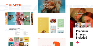 Teinte – Creative Portfolio and Design Theme The Teinte – Creative Portfolio and Design Theme is the perfect WordPress theme for designers