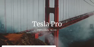 Tesla Pro best WordPress template. Tesla Pro is a massively powerful