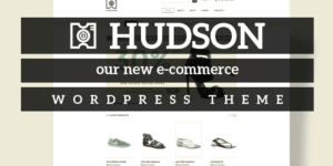 Discover the Tesla Themes Hudson WordPress Theme