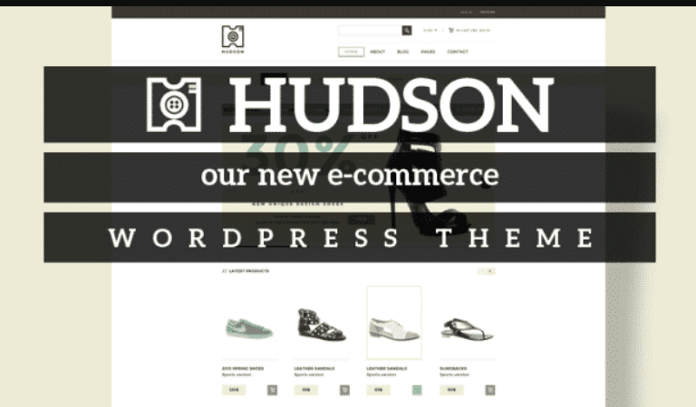 Discover the Tesla Themes Hudson WordPress Theme