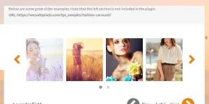 Theia Post Slider is a very impressive WordPress post-navigational plugin. It allows you to use content sliders to show multi-page posts. Using Theia Post Slider