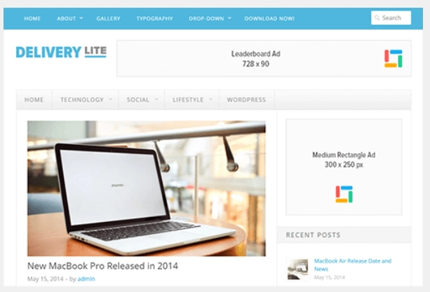 Delivery Lite is prefect for a range of content websites