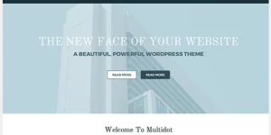 We set out to build a WordPress theme that would be an excellent base for any website