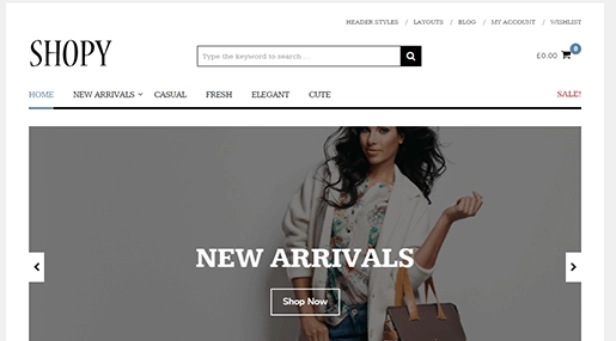 Shopy will immediately give your online store a modern and professional look