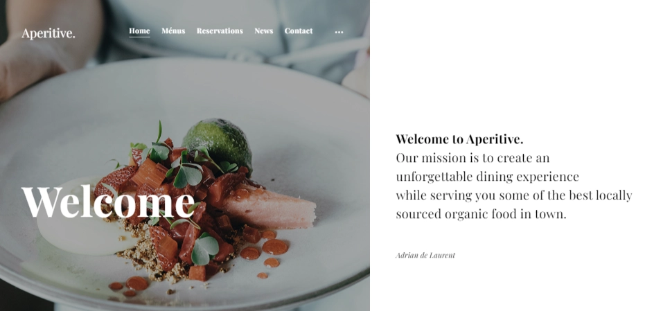 Discover the Themes Kingdom Aperitive WordPress Theme